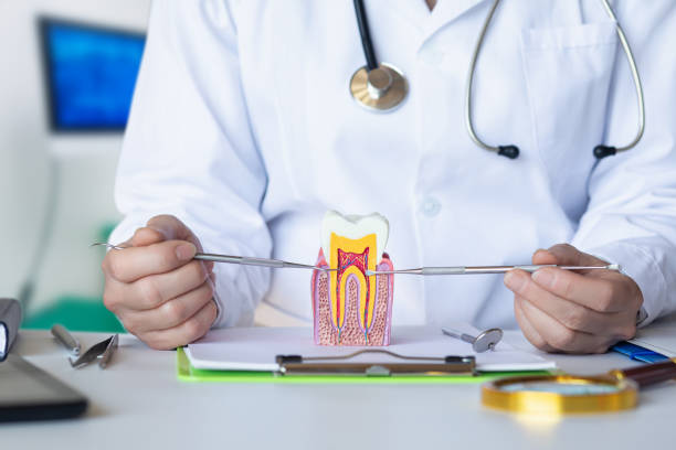 Best Emergency Pediatric Dental Care in Travilah, MD